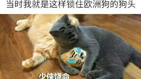 DNF|古灵井盖|日常裂缝